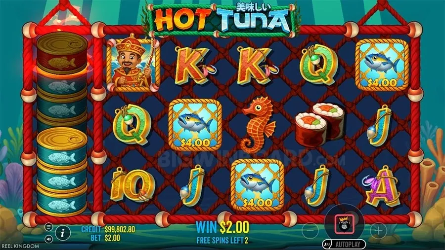 jili100 Live Dealer Casino Games